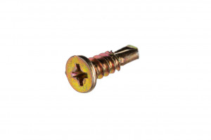Self Drilling Screw - Painted - Flat Top