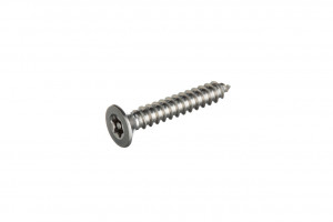 Countersunk Post Torx Self Tapping Screw