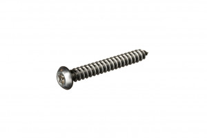 Button Post Torx Self Tapping Screw