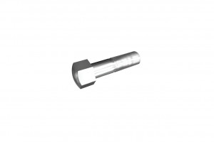 Dome Track Bolt